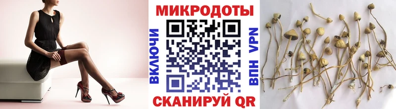 Псилоцибиновые грибы Psilocybine cubensis  Туран 