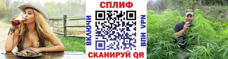 Конопля White Widow  Туран 
